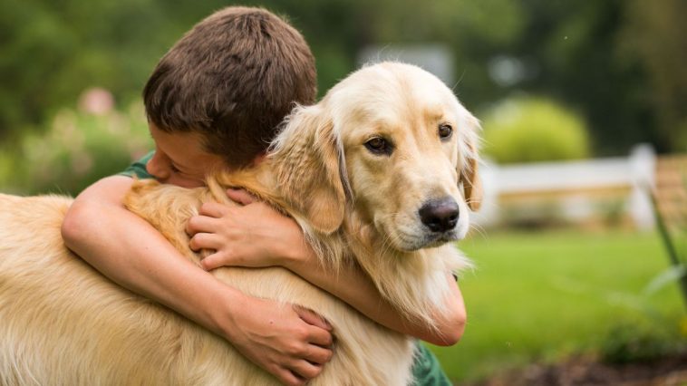 Cachorro sendo abraçado por criança