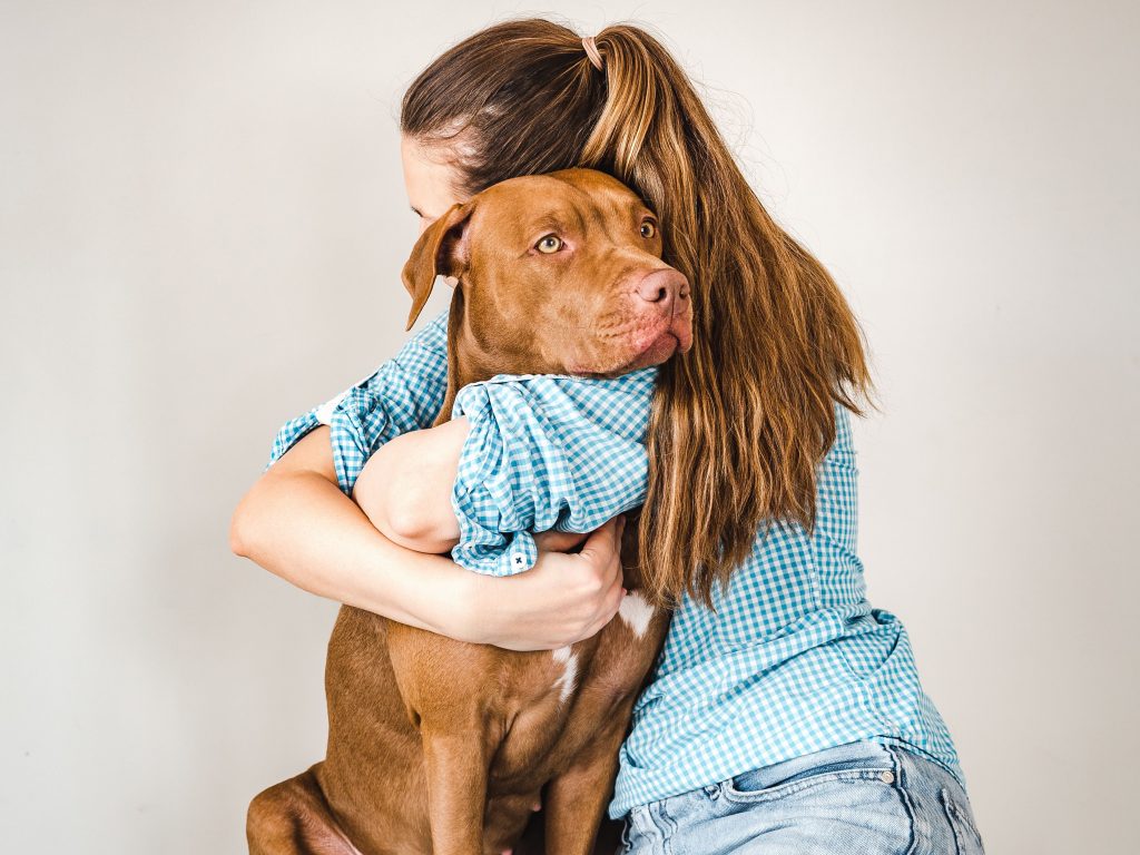 Cachorro sendo abraçado por sua tutora