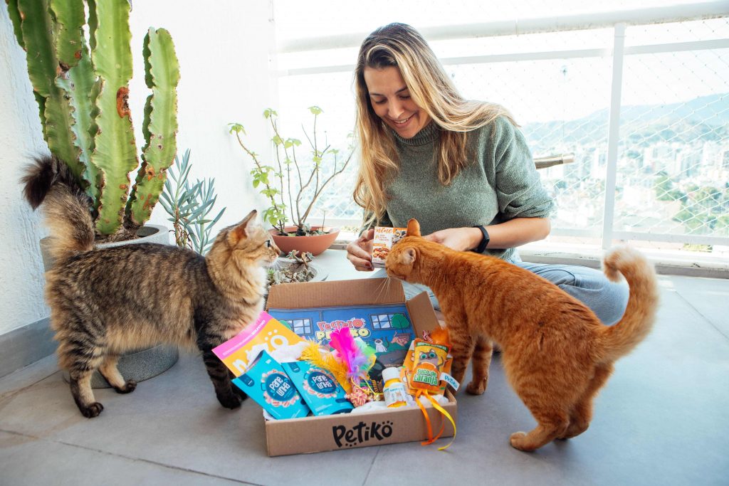 Trilha Diversão do BOX.Petiko para gatos