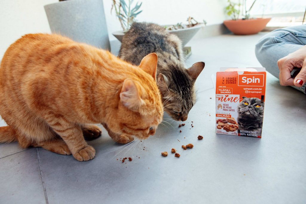 Mini Snack sabor Tilápia e Salmão - Spin Pet enviado no BOX.Petiko de gatos