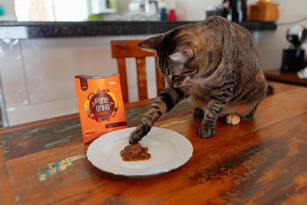 Topper Panelinha para gatos da Petiko