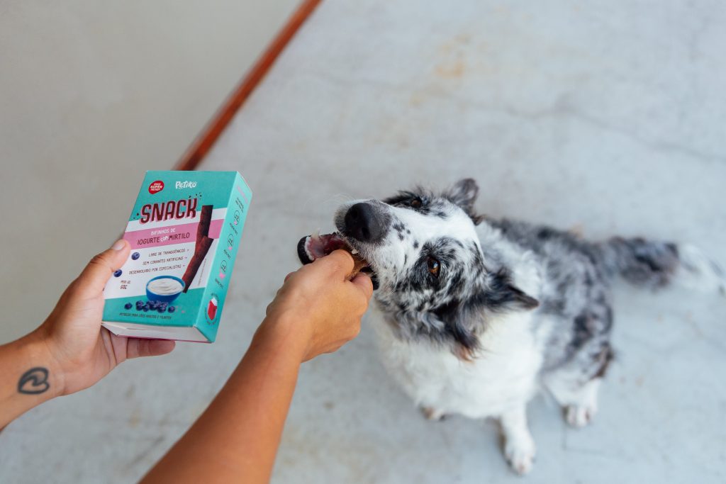 Cachorro com Snack – Bifinhos sabor iogurte com mirtilo do BOX.Petiko