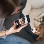 Tutora tirando foto de seu cachorro dormindo