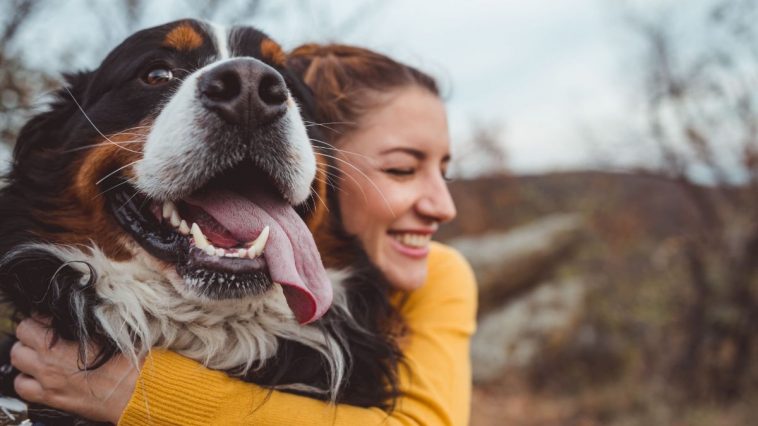 Cachorro e mulher sorrindo ao ar livre