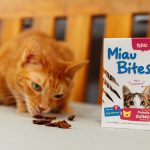 Petisco Miau Bites da Petiko para gatos