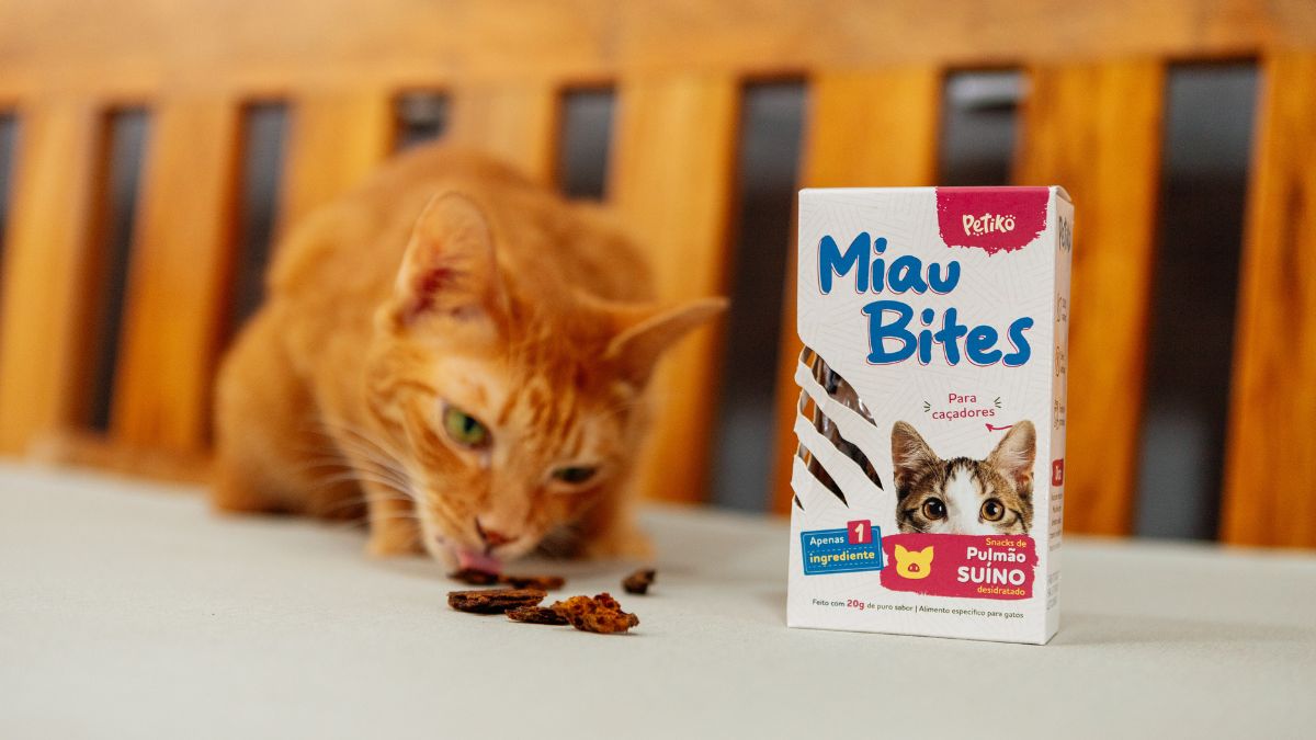 Miau Bites: conheça o novo petisco para gatos da Petiko