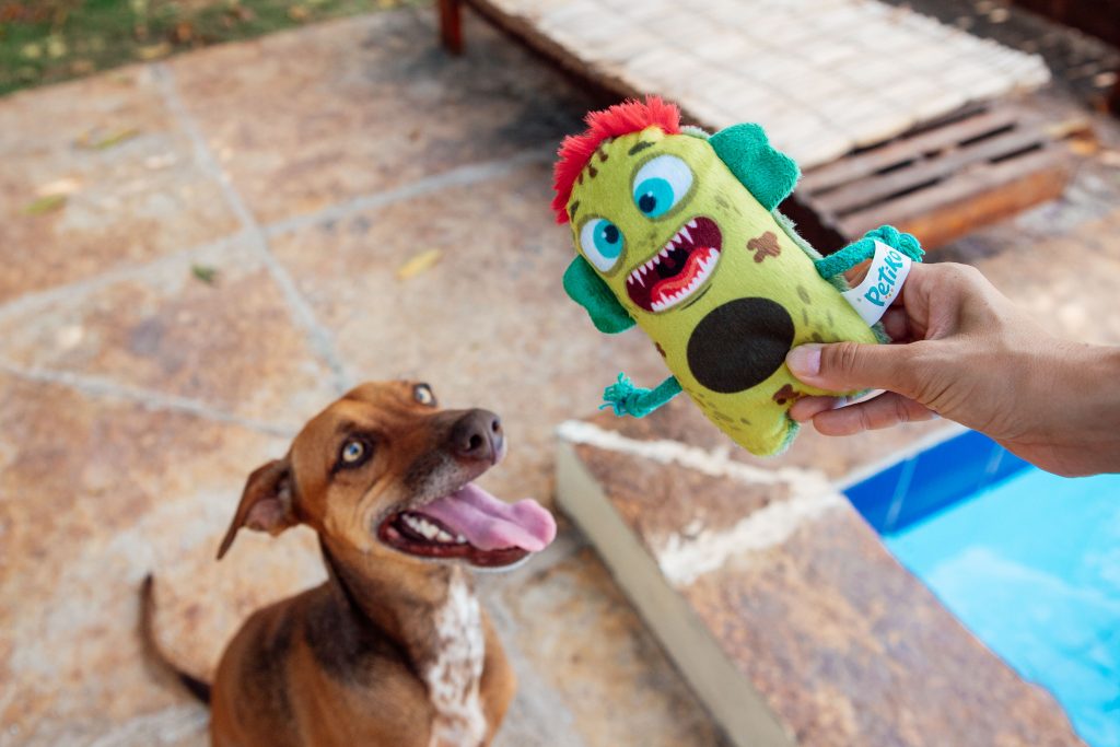 Brinquedo de pelúcia para cães de Halloween do BOX.Petiko