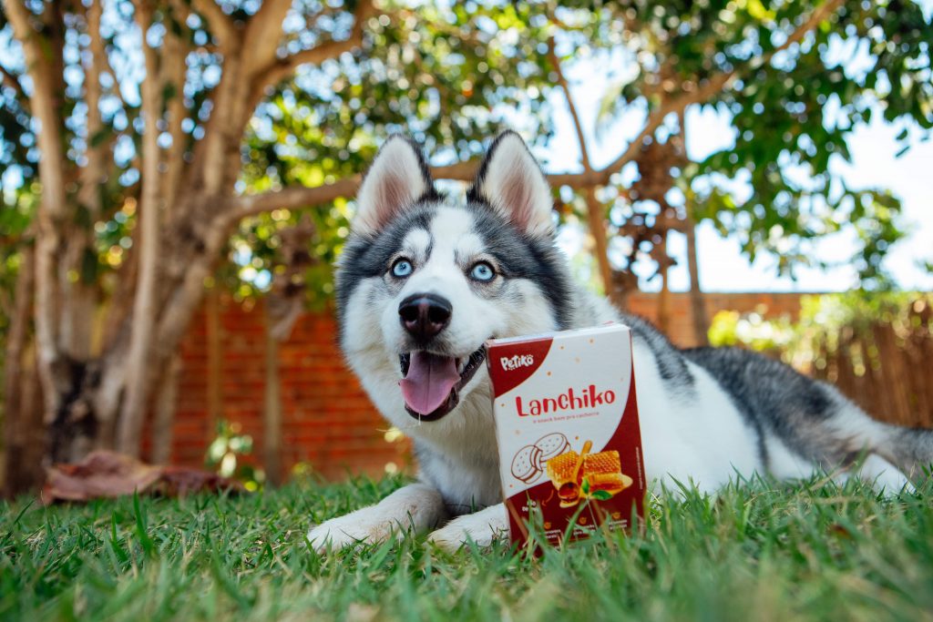 Petisco Lanchiko para cães enviado no BOX.Petiko