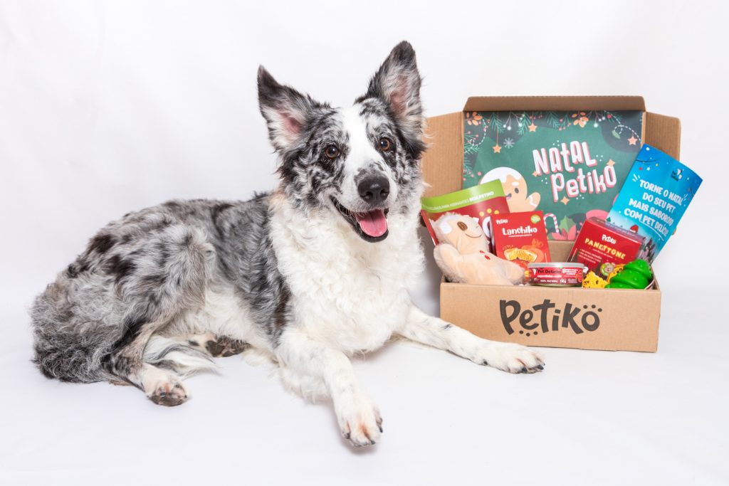 Cachorro com BOX.Petiko de Natal - Trilha Essencial