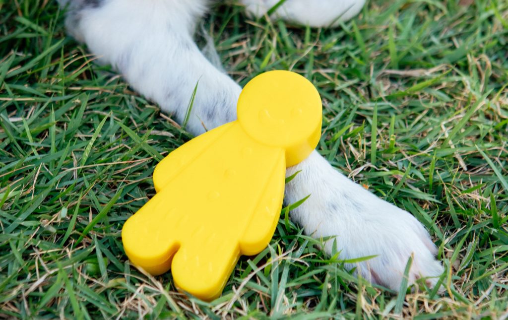 Brinquedo mordedor para cães da Petiko