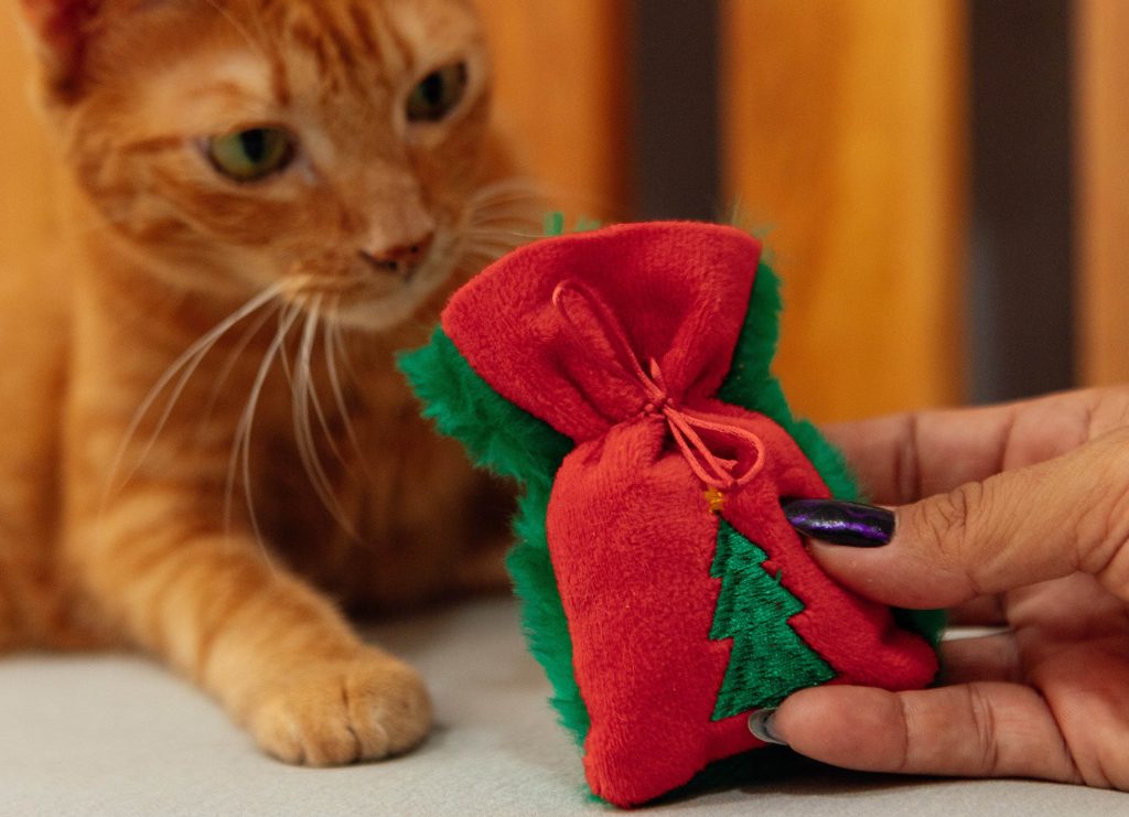 Brinquedo Saco de Presente do Papai Noel do BOX.Petiko para gatos