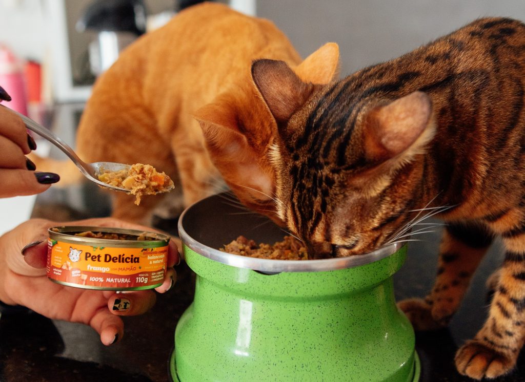 Alimento natural Pet Delícia para gatos
