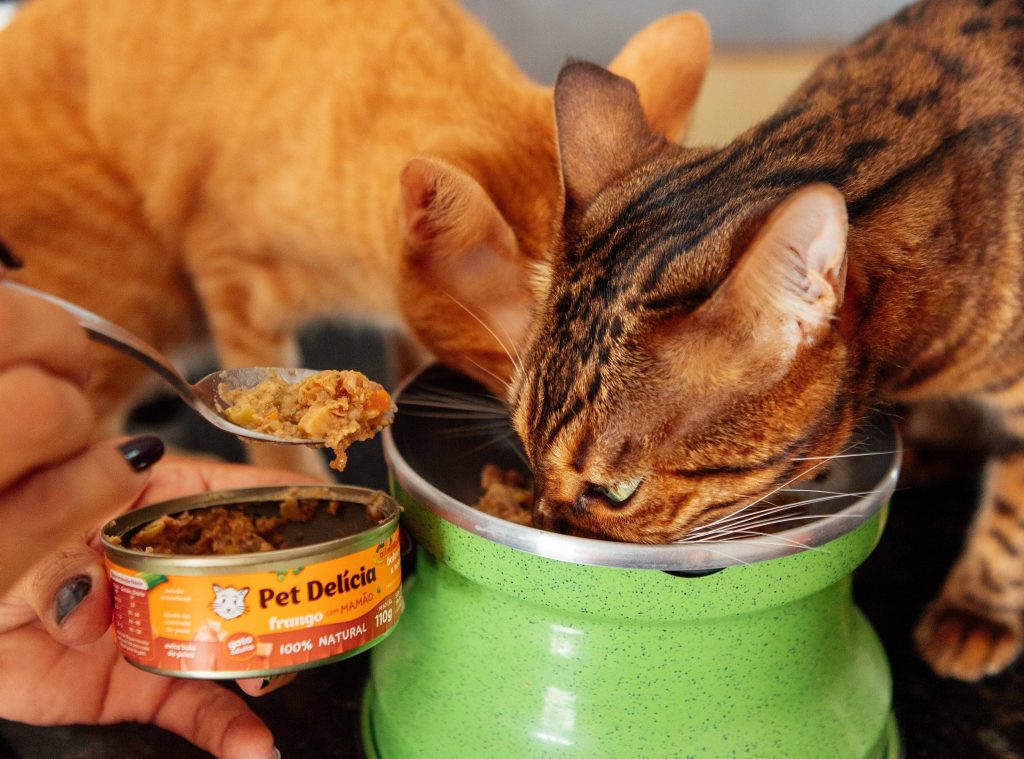 Gatos comendo Pet Delícia enviado no BOX.Petiko