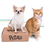 Cachorro e gato junto com a caixa do BOX.Petiko