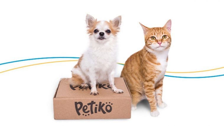 Cachorro e gato junto com a caixa do BOX.Petiko