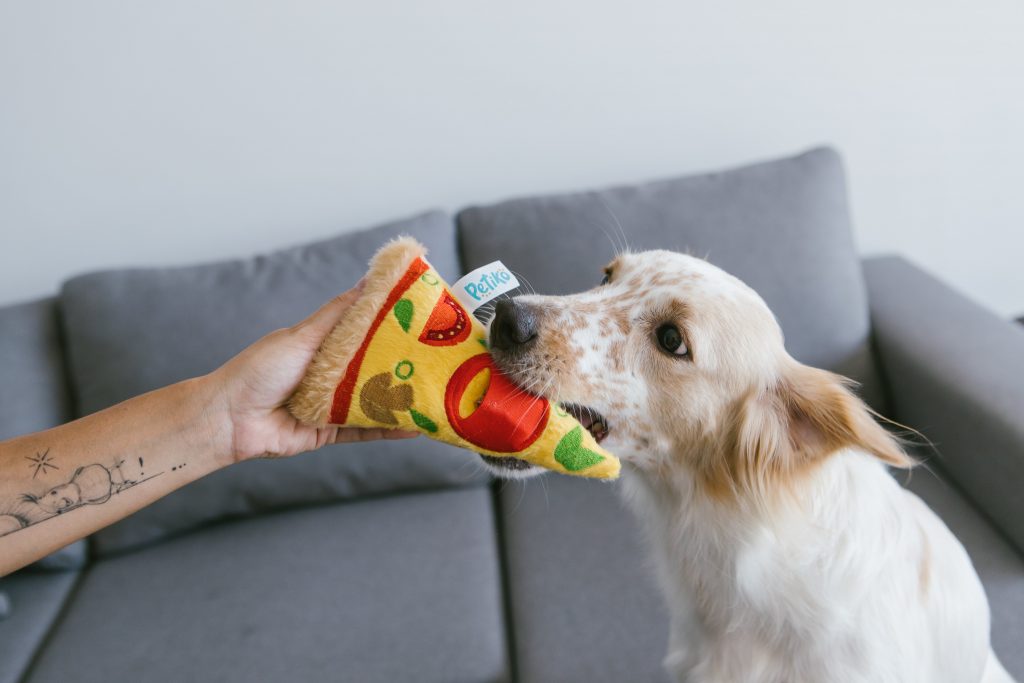 Cachorro brincando com brinquedo de pelúcia em formato de pizza