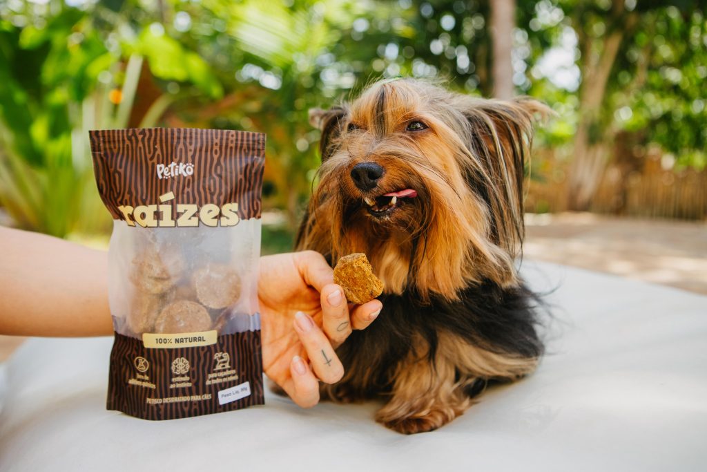 Cachorro comendo petisco natural desidratado da Linha Raízes, desenvolvida pela Petiko