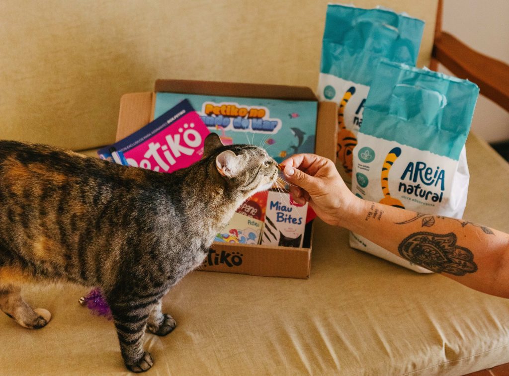 Trilha Diversão do BOX.Petiko para gatos