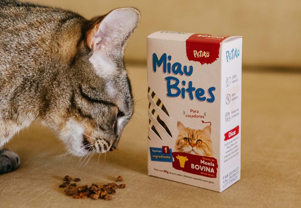 Gato rajado comendo petisco desidratado Miau Bites, desenvolvido pela Petiko