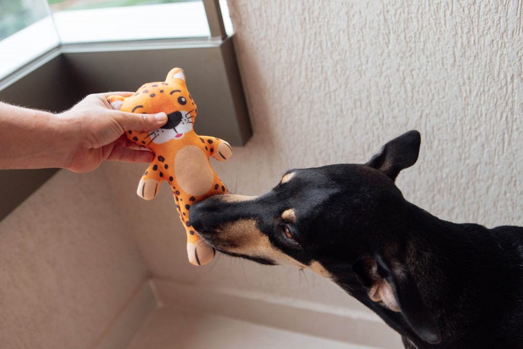 Brinquedo de pelúcia para cães da Petiko