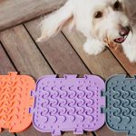 Cachorro em frente às cores do comedouro Quebra-Cabeça da Petiko