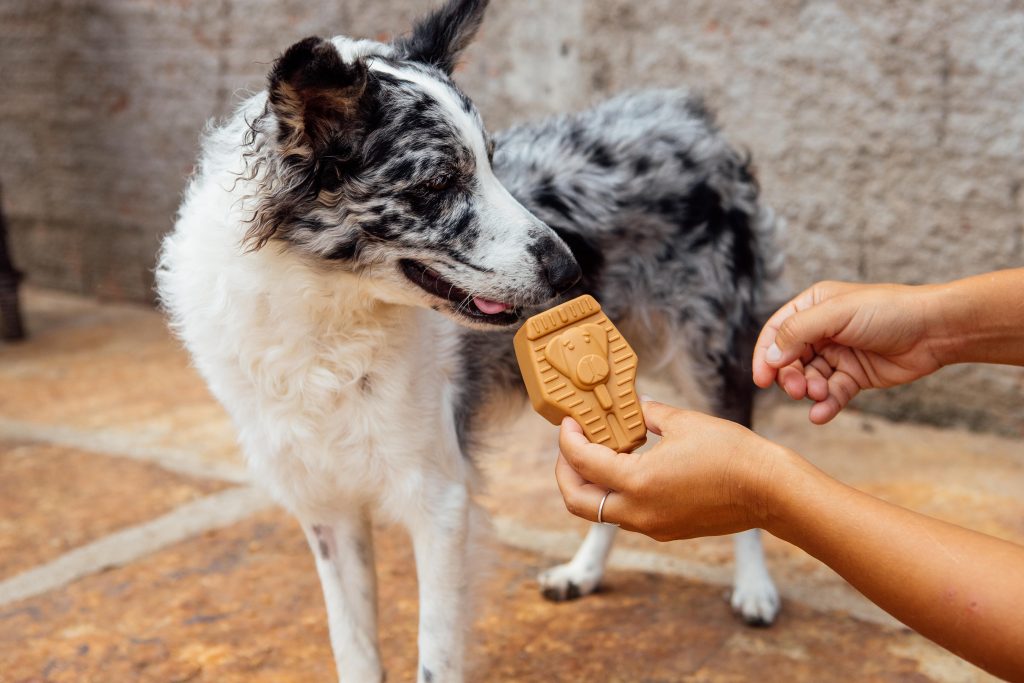 Cachorro com brinquedo recheável para pets Faraó Tutancão da Petiko