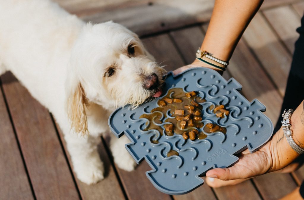 Cachorro comendo alimento úmido no comedouro Quebra-Cabeça da Petiko