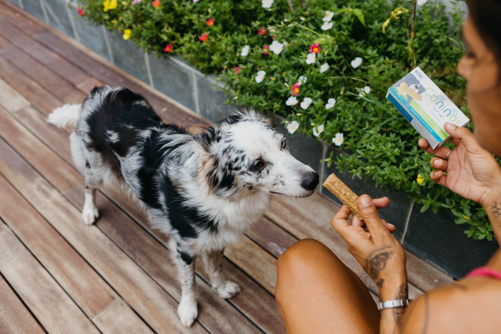 Petisco de saúde bucal Caninos desenvolvido para cachorro pela Petiko