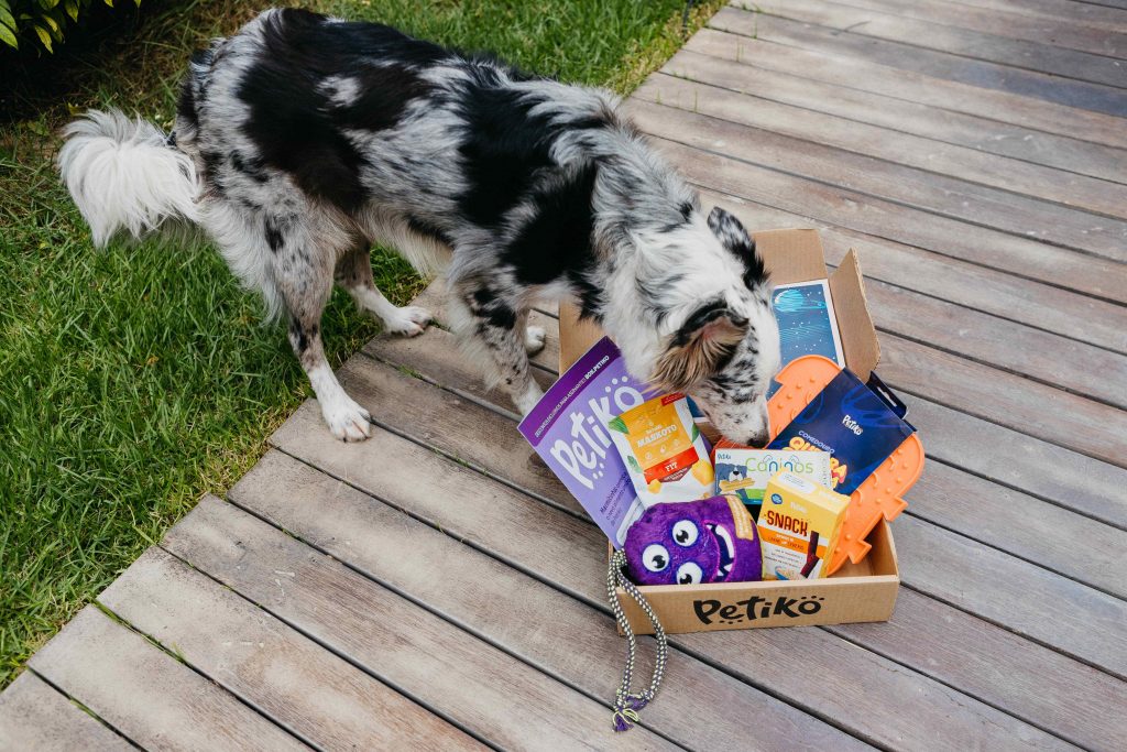 Trilha Essencial do BOX.Petiko para cães