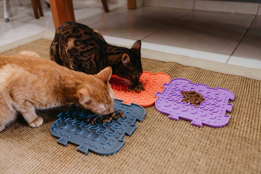 Gatos comendo alimento úmido no comedouro Quebra-Cabeça da Petiko