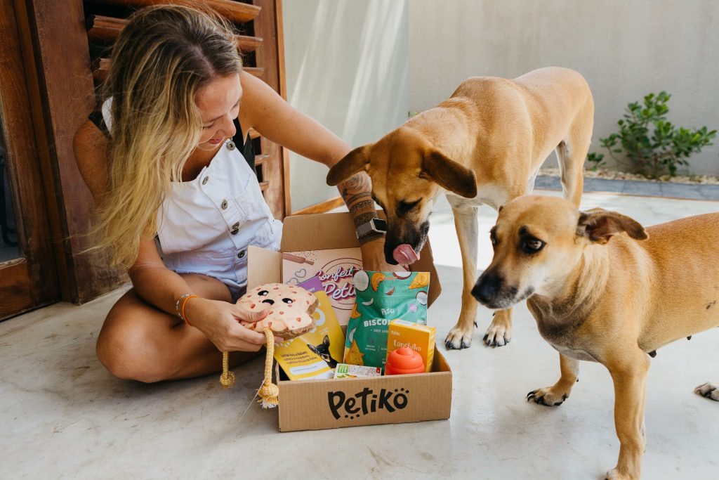 Tutora junto com dois cães amarelos com o BOX.Petiko