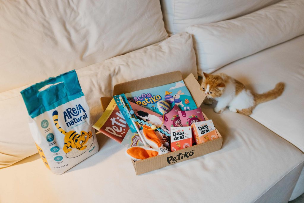 Gato filhote em ciam do sofá junto com a edição de Páscoa do BOX.Petiko