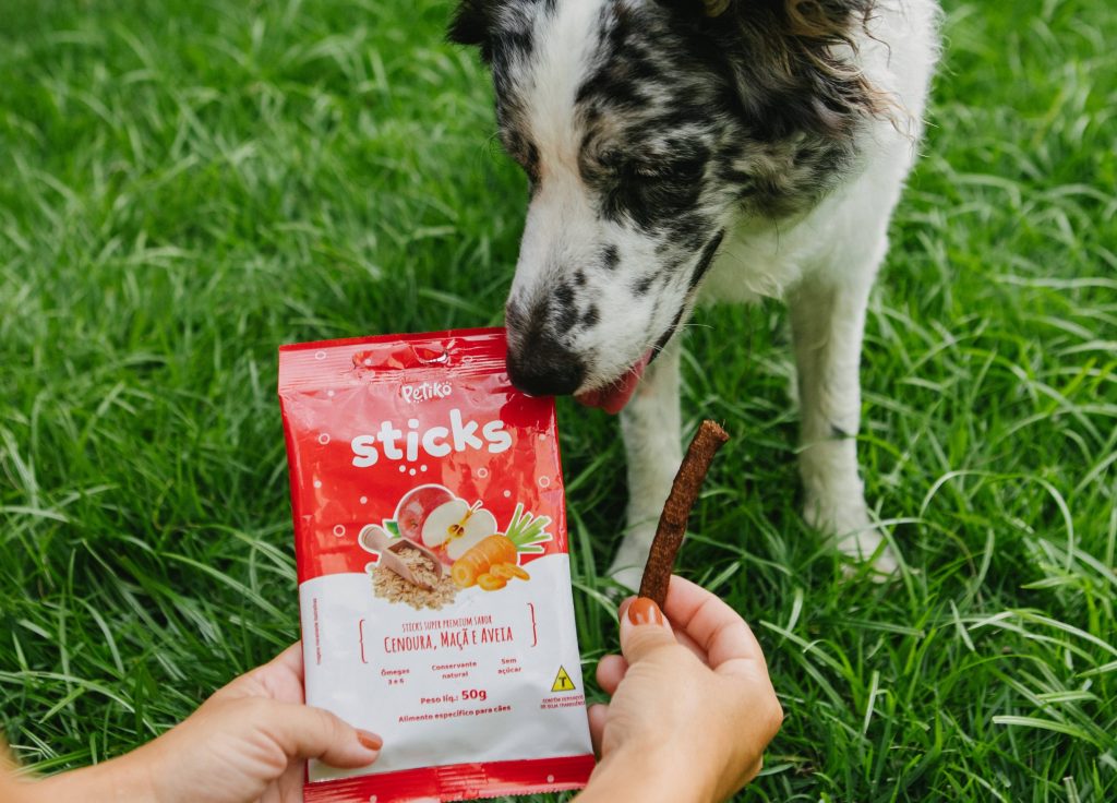 Cachorro Border Collie comendo Sticks – Petisco sabor cenoura, maçã e aveia
