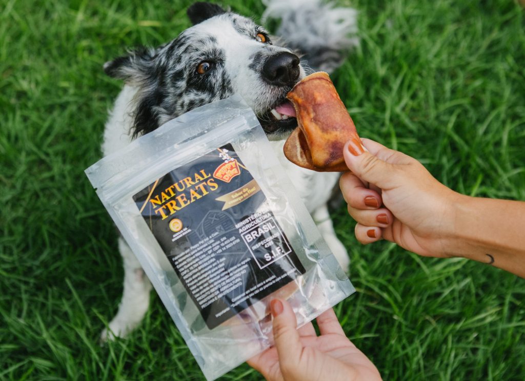 Tutora oferecendo mordedor naturalOrelha Bacon Natural Suína – Peppy Dog enviado no BOX.Petiko para seu cachorro