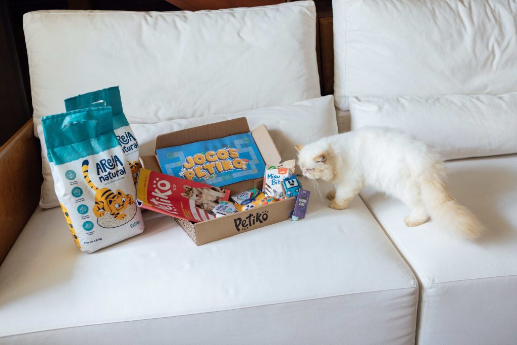 Gato em cima do sofá branco junto com o BOX.Petiko da Trilha Essencial Família