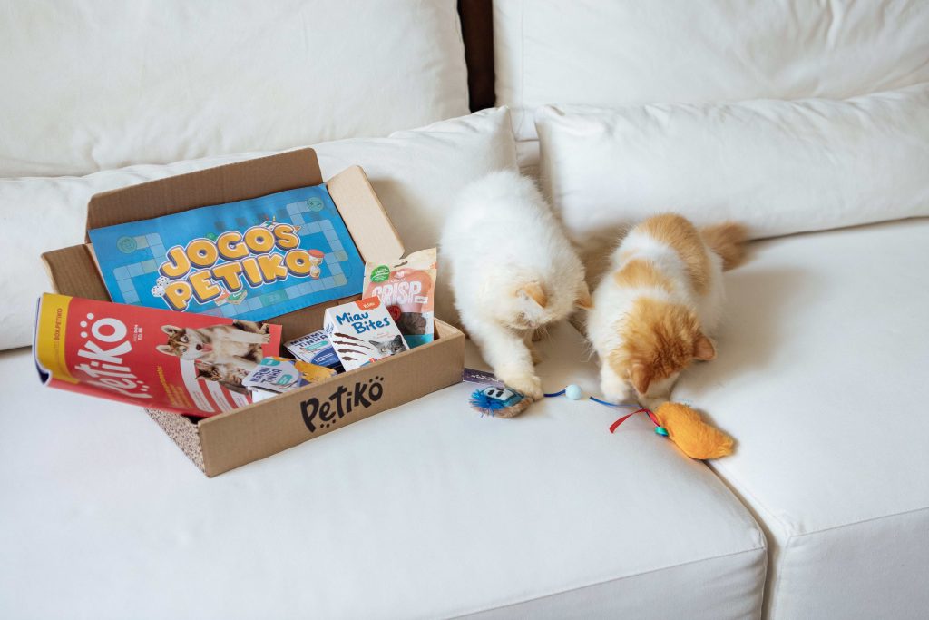 Gatos filhotes brincando com um item da Trilha Diversão do BOX.Petiko para gatos