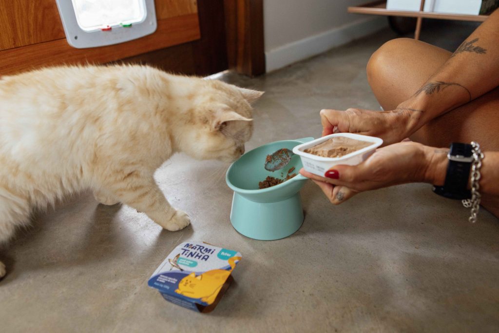 Tutora oferecendo alimento úmido Marmitinha sabor sardinha para seu gato