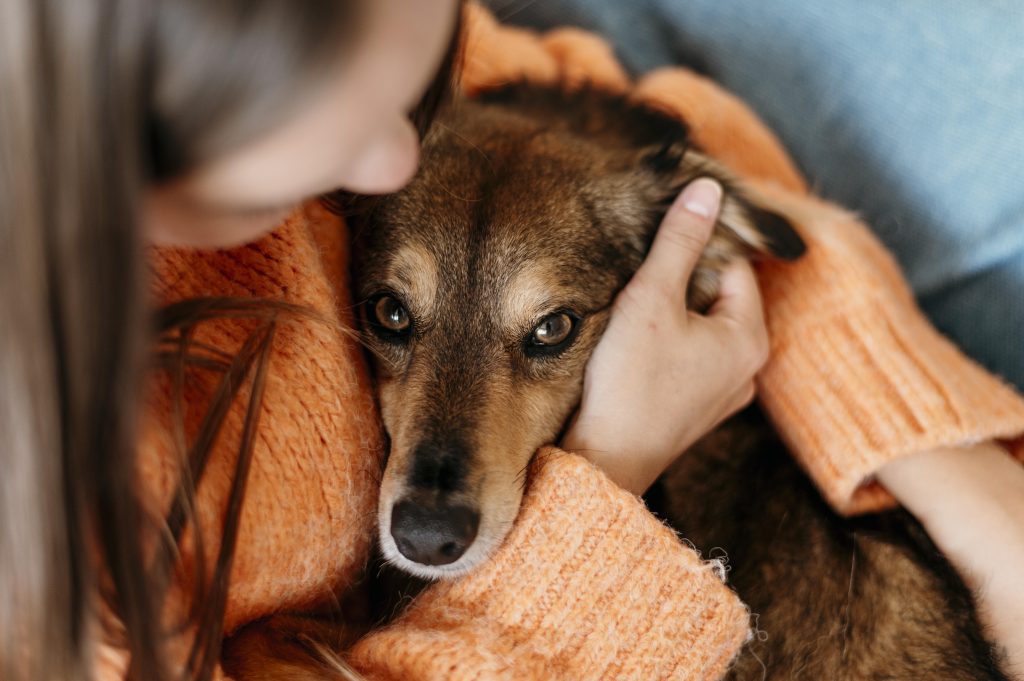 Tutora abraçando cachorro enquanto ele olha para ela