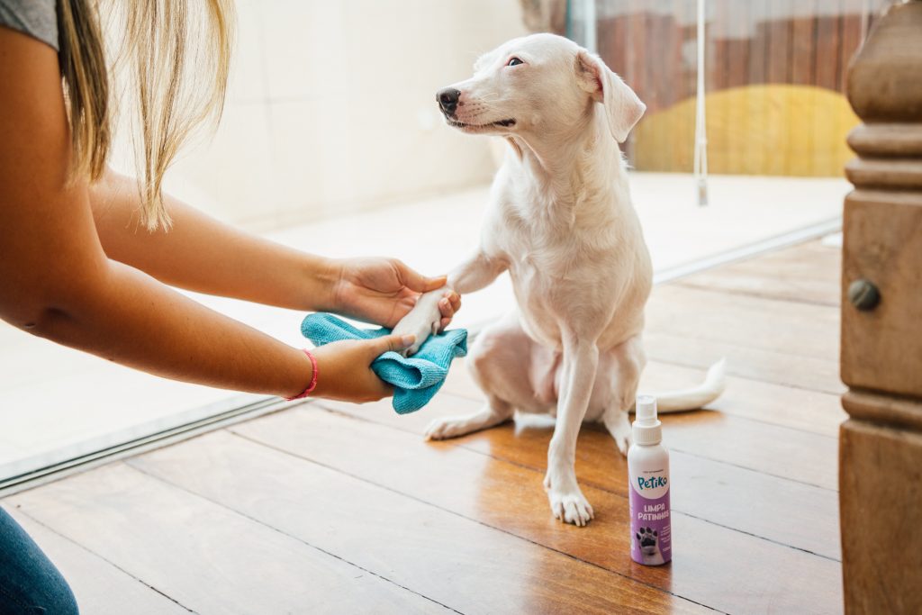 Tutora usando um pano azul para aplicar o produto Limpa Patinhas da Petiko em seu simpático cachorro