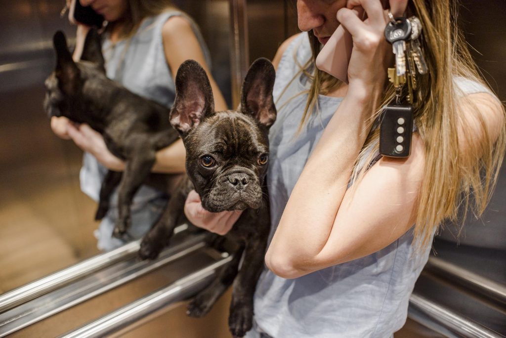 Tutora dentro de elevador de hotel pet friendly com cachorro Buldogue Francês no colo