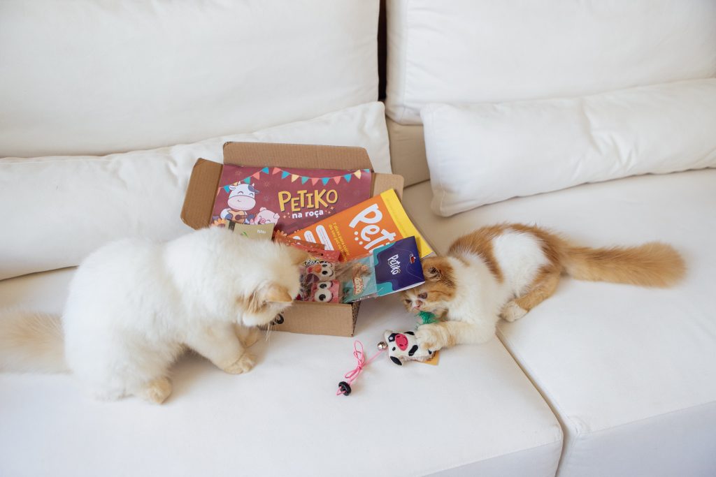 Dois filhotes de gato persa, em cima do sofá, com o BOX.Petiko da Trilha Diversão