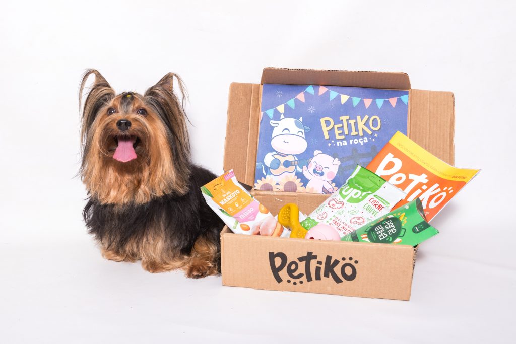 Cachorro Yorkshire sentado ao lado do BOX.Petiko, edição "Petiko na Roça", da Trilha Mordedores