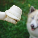 Cachorro em desfoque ao fundo, sentado na grama e olhando para o osso de couro que está em destaque