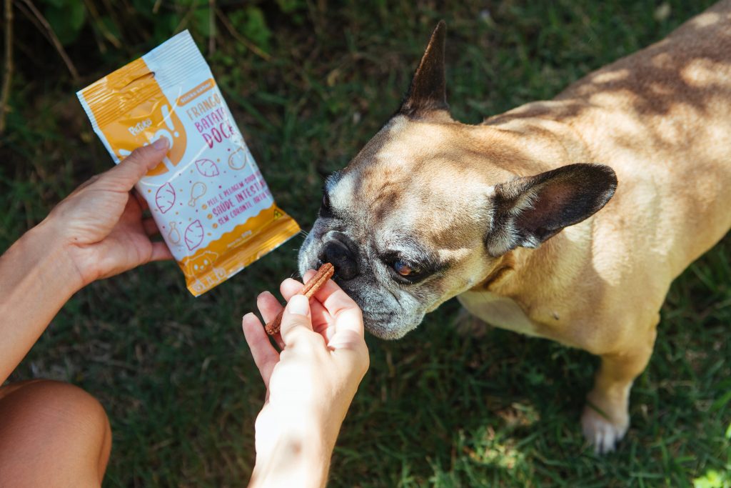 Cachorro ao ar livre recebendo Petisco UP! sabor frango com batata doce enviado na edição "Inswtos" do BOX.Petiko