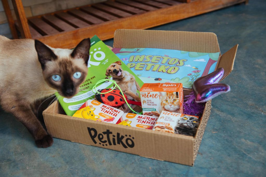 Gato interagindo com a Trilha Diversão da edição "Insetos" do BOX.Petiko