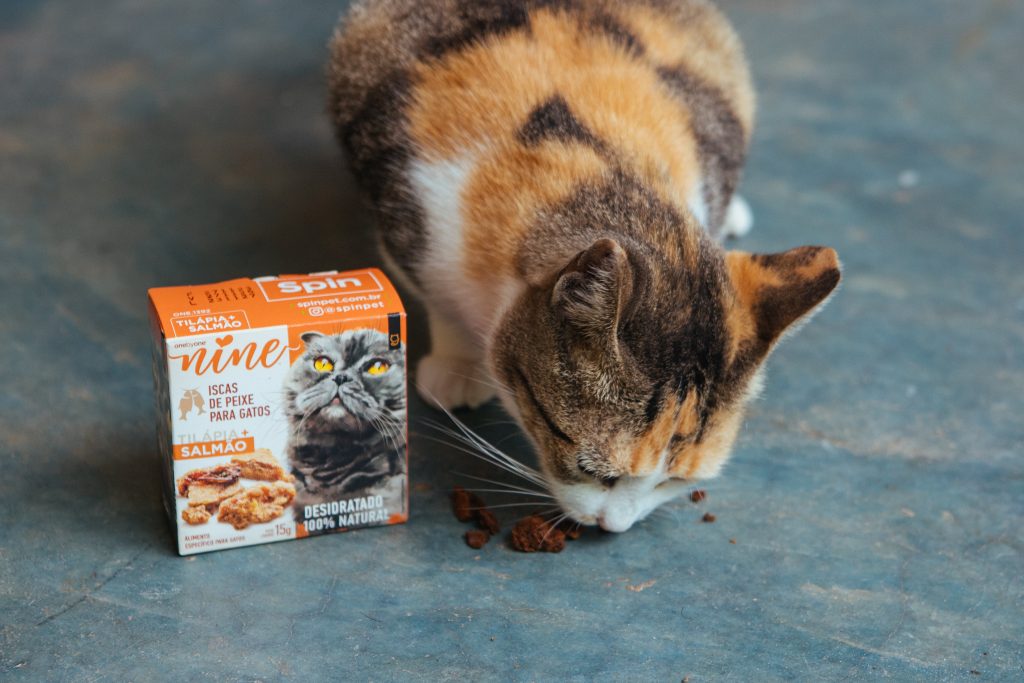 Gato tricolor comendo petisco Mini Snack sabor tilápia e salmão – Spin Pet enviado no BOX.Petiko