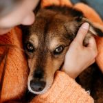 Mulher, com roupa laranja, abraçada com seu cachorro vira-lata que olha com carinho para a foto