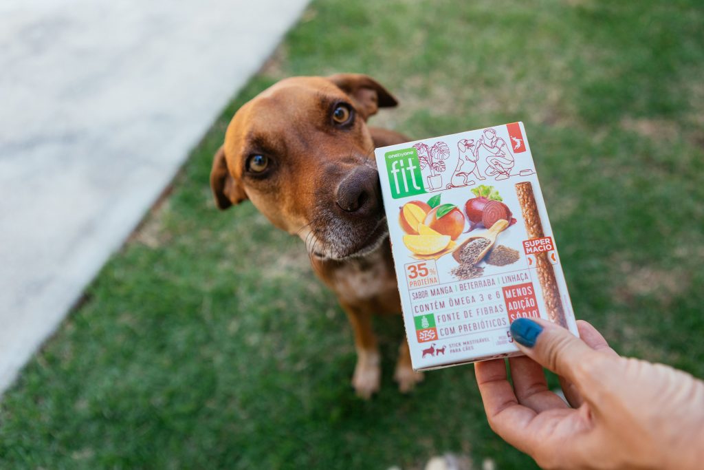 Ao ar livre, no gramado, cachorro interage com Petisco Gourmet Stick Spin Fit sabor manga, beterraba e linhaça do BOX.Petiko