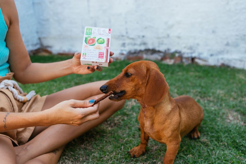 Em um gramado, tutora oferece Petisco Spin Pet sabor goiaba, couve e gergelim ao seu cachorro