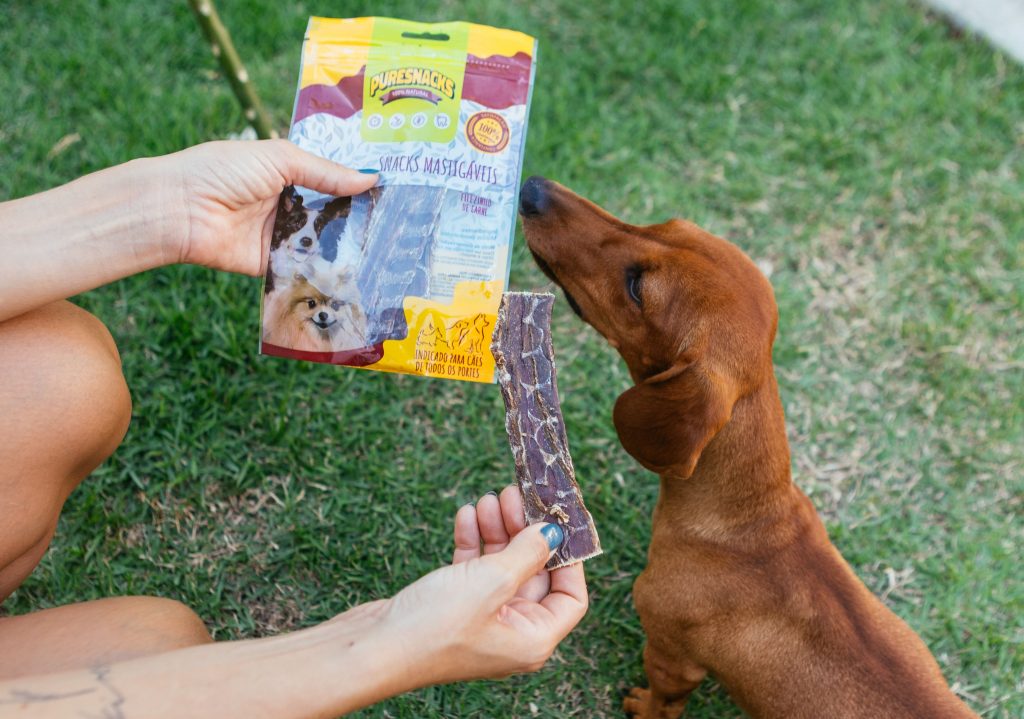 Em um gramado, tutora oferece Petisco natural desidratado Puresnacks – Nervo Flat enviado no BOX.Petiko para seu cachorro